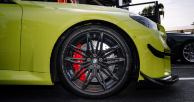 PIRELLI: PORTA A GOODWOOD LA FAMIGLIA P ZERO